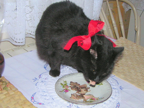 Z okazji Międzynarodowego Dnia kota :) Krzysiu 50, pięknie dziękuje w imieniu Murki :)