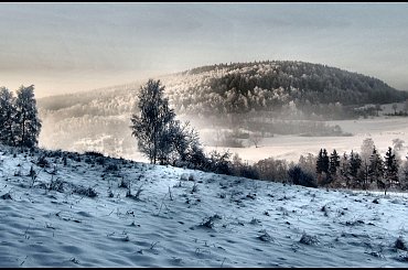 ZIMA #Zima #Zimowe #natura