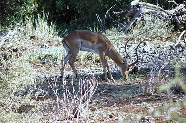 wyprawa po 70-tce #kilimandzaro #wandelt