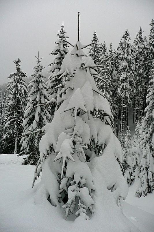 2009.03.20 TATRY v2