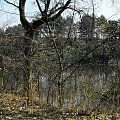 Puszczykowo, kwiecień 2009