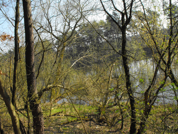 Puszczykowo, kwiecień 2009