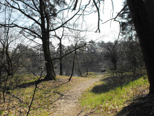 Puszczykowo, kwiecień 2009