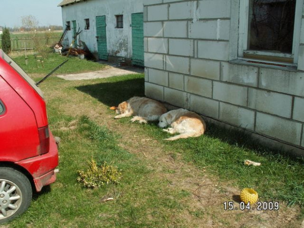 Jurek znów nie wystawił nam kanapy