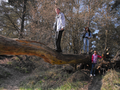 Puszczykowo, kwiecień 2009