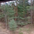 Puszczykowo, kwiecień 2009
