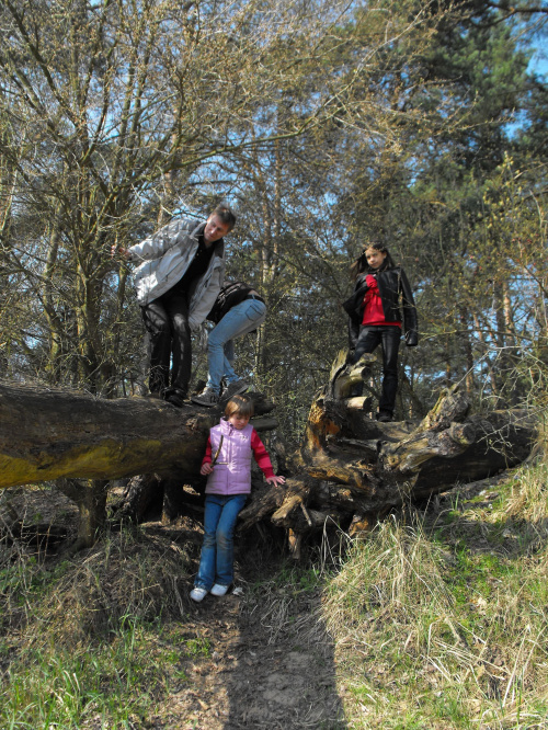 Puszczykowo, kwiecień 2009