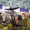 Bytom 2011