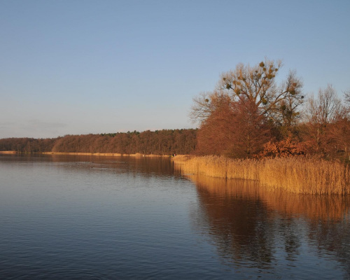 Jezioro w listopadowym słońcu