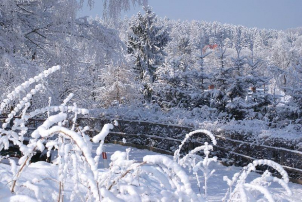 zima 2011