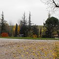 Bolonia, seminarium na temat praw dziecka niepełnosprawnego w 20 rocznice Konwencji Praw Dziecka