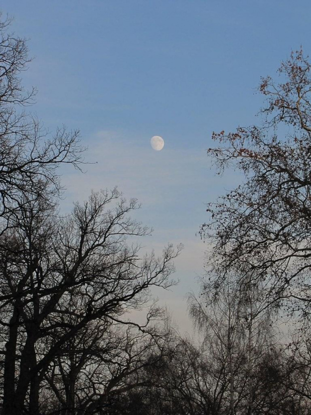 dobranoc i spokojnych snów :)