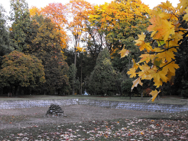 Różne
