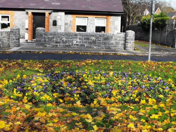 Malahide (Evergreen, GranHotel), Dublin