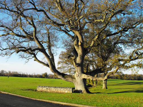 Malahide (Evergreen, GranHotel), Dublin