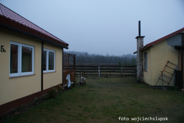 Deszczowe Mazury w lesie