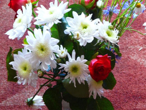 3.12.2009 Urodzinowy bukiet kwiatów dla FABIA #kwaiaty