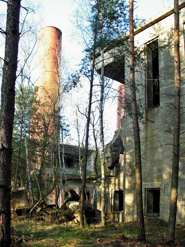 Pozostałości niemieckiej fabryki w lesie w okolicy Nowogrodu Bobrzańskiego.
Więcej informacji tu:
http://pl.wikipedia.org/wiki/Kombinat_DAG_Alfred_Nobel_Krzystkowice.
Więcej zdjęć w albumie- zainteresowanych zapraszam :) #ruiny #las