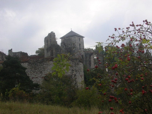 Tęczyn (małopolskie) - zamek
