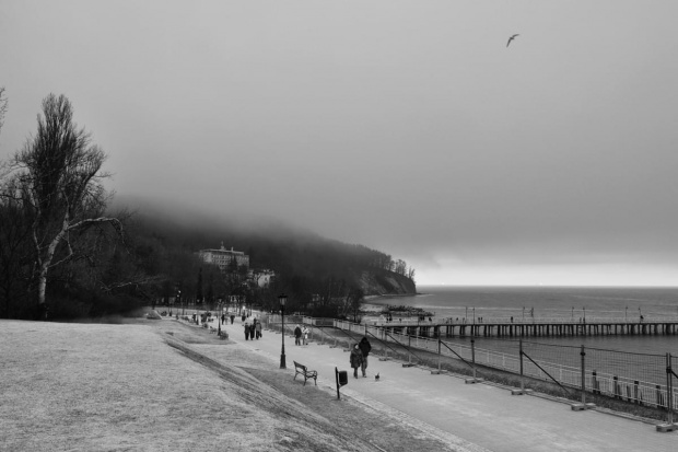 Mgła nad klifem.. #Gdynia