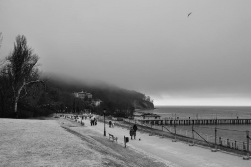 Mgła nad klifem.. #Gdynia