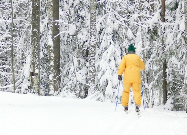 Espoo, Olari, popularne w Finlandii narty biegowe. #biegówki #Finlandia #Espoo
