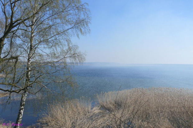 Zadymione jezioro Śniardwy #SzerokiOstrów #PółwysepSzerokiOstrów
