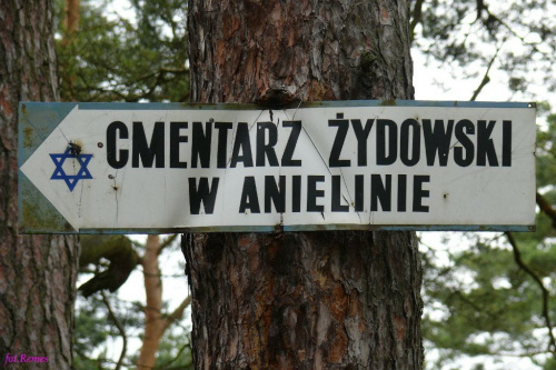 Cmentarz żydowski w Anielinie #Kirkut #Anielin