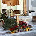 z mojego kościólka, część dekoracji to moje 'dzieło' ... ozdoby na choince są wykonane przez dzieci chodzące na roraty ... #kwiaty #kościół #święta #wystrój #szopka #choinki #BożeNarodzenie