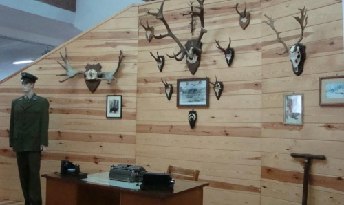 Gołuchów-muzeum leśnictwa,koniec zwiadzania,dziękuję.