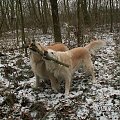 A gdy się trafi jakaś większa to we dwie się nią zajmiemy