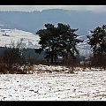 To już ostatnie z tej serii - obiecuję:)