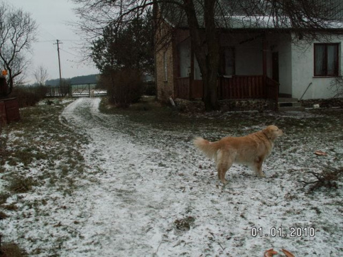 Pierwsze wyjście w 2010 roku