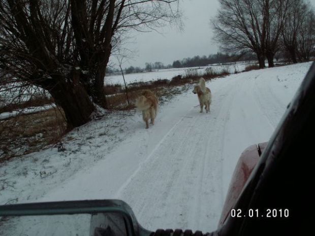 Kontrolny rzut oka czy coś tam nie pływa