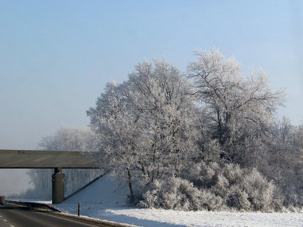 Legnica i okolice :) najpierw mgła, a potem słońce i szadź. Pięknie było, ale z samochodu jadącego A4 ciężko fotki robić