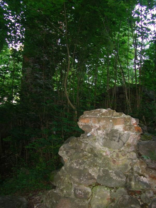 Szestno (warmińsko-mazurskie)-ruiny zamku