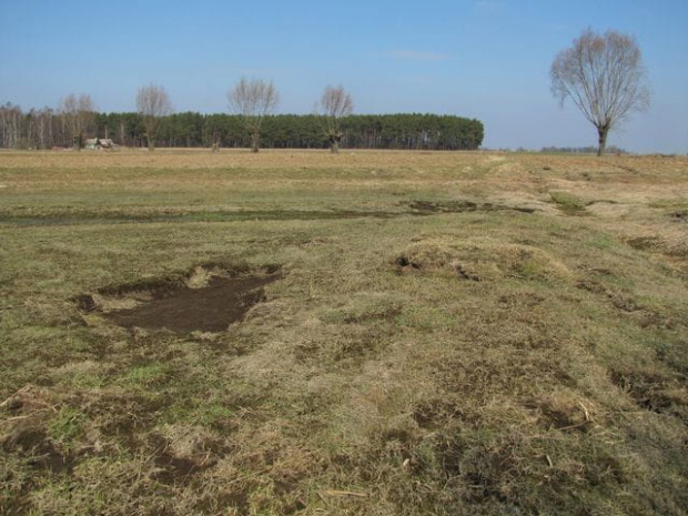 woda w tym roku porobiła niezwykłe szkody na łąkach