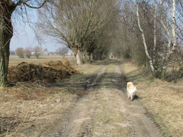 a my naprzód omijając sterty takich pyszności.