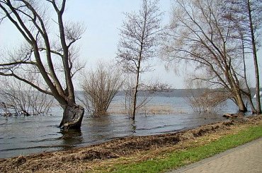 W jeziorze Miedwie tak się podniósł poziom wody że najstarsi tego nie pamiętają #Miedwie