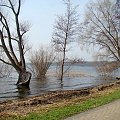 W jeziorze Miedwie tak się podniósł poziom wody że najstarsi tego nie pamiętają #Miedwie
