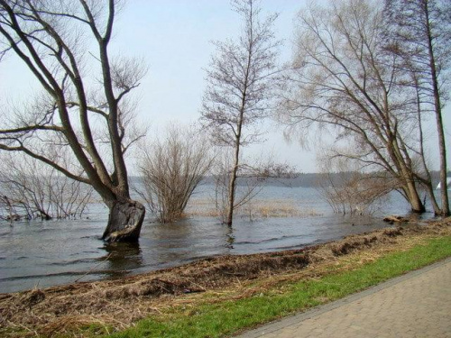 W jeziorze Miedwie tak się podniósł poziom wody że najstarsi tego nie pamiętają #Miedwie