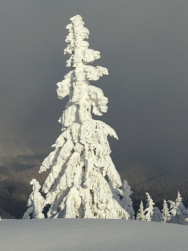 2009.03.21 TATRY v5