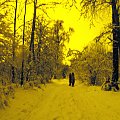 Białystok i okolice w styczniu 2010