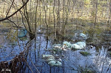 New 7 Wonders - Mazury Cud Natury - Masuria - The Wonder Of Nature #Mazury #Masuria #śmieci #MazuryCudNatury