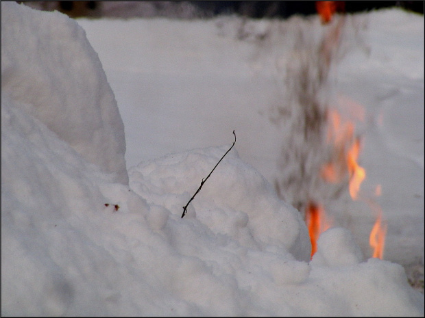,błędne ogniki na śniegu..:)