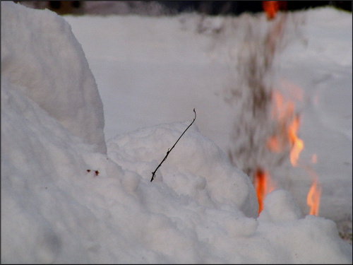 ,błędne ogniki na śniegu..:)