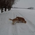 Kawałek patyczka i dziewczyny odżyły