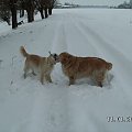 Jak matka i córka