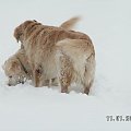 Niektóre foty całkiem zmieniają tonację