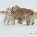 A to nie było - poczęstuj się bułą